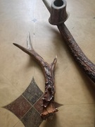 Świecznik z poroża jelenia 