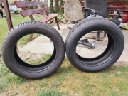 opony zimowe marki Michelin, model Pilot Alpin 5. Extra load
