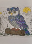 Obrazek nowy za 2 zł