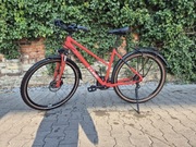 Rower damski Cube Nature 