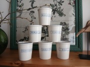 Zestaw skandynawskich kubków z nazwami ziół 6 szt.