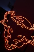 Neon Led wzór „BYK”