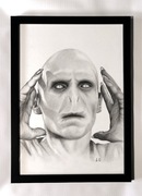 Obraz z ręcznie wykonanym rysunkiem, Lord Voldemort Harry Potter A3