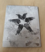 Infamous Second son ps4 - specjal edition 