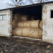 Siano ekologiczne bardzo dobrej jakości - tanio WYPRZEDAŻ !