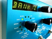 Strymon BigSky Gwarancja Reverb Pogłos Studyjny Okazja