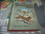 MAYNE REID - IM AFRIKANISCHEN BUSCH - RIOU