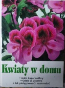 Kwiaty w domu BDB