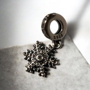 Charms pandora s925