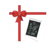 Sencor Tablet Cyfrowy Notatnik LCD SXP20WH Super!!