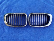 Nerki grill BMW E46 coupe