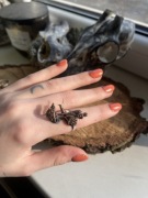 Pierścionek z grzybem ślimak las wiedźma rękodzieło