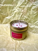 Nowa świeca Wild Olive