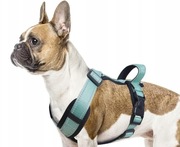 Duomm szelki dla psa r.L