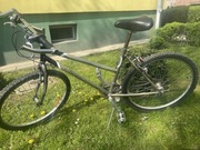 Rower miejski SHIMANO Daytona