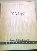 Adolf Dygasiński Zając