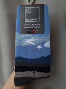 Skarpety eu 36-40 (unisex) Caspar David Friedrich 