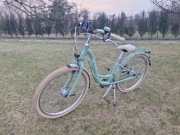 Rower PUKY Skyride 24-7 Classic Retro/Green-4821