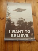 plakat na płótnie z filmu z archiwum x i want to belive