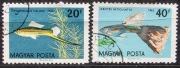 Węgry 1962 r. ryby