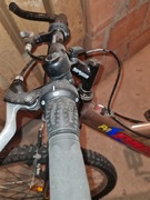 Chopiecy rower "Pacyfic"