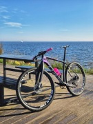 Scott Scale RC Team XL + koła Evanlite + dużo gratisów STAN IDEALNY