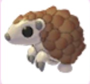 2x Pangolin - Adopt Me Roblox