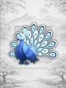 Moonbeam Peacock Adopt Me Roblox
