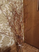 Gałązki do dekoracji