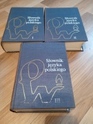 Słownik Języka Polskiego Komplet 3 tomów Praca zbiorowa