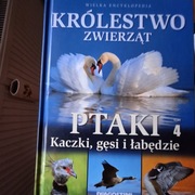 Królestwo zwierząt Ptaki 