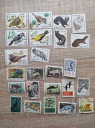 Kolekcja radzieckich znaczków pocztowych zwierzęta ,ptaki,z lat 60/80
