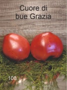 108-Cuore di bue Grazia. Pomidory kolekcjonerskie.