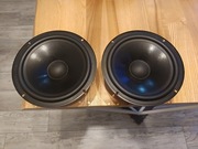 Głośniki Niskotonowe STX GDN 20 20cm 8" basowe