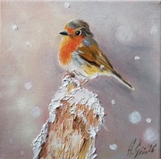 A.Giża RUDZIK obraz olejny 20/20 cm PTAK PTAKI DZKA NATURA 