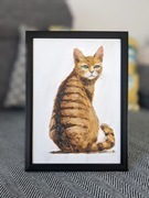 Kot - obraz olejny, w ramce. Portret kota.