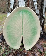 Patera ceramiczna handmade liść