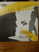 ADAM AGAIN  VICTIM OF DESIRE  12 MAXI ITALO DISCO