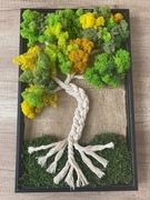 Drzewo z mchu, obraz z chrobotka 