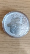 Srebrna Moneta KOALA 2023 1 uncja srebra 