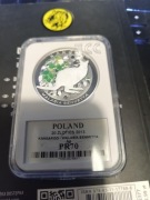 20 zł Kangur.....