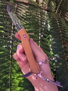 Victorinox Wine Master - scyzoryk, korkociąg, nóż winiarski