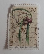Znaczek pocztowy Luksemburg Allium cepa var profil