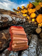 Rozpałka ekologiczna z drewna sosnowego