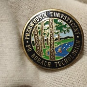 Odznaka PTTK Przewodnik Turystyczny Po Borach Tucholskich - średnica 25 mm
