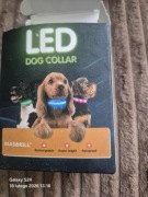 Nowa obroża świecąca LED rozmiar S  