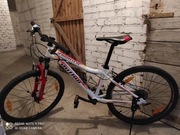 Rower Author A-matrix 24 cale