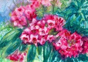 Rododendron Original Akwarela A4