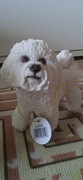 BICHON FRISE SZCZENIAK LEONARDO COLLECTION LESSER &PAVEY LTD 