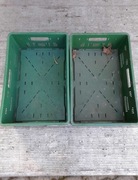 Skrzynka skrzyneczka klatka pojemnik 